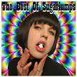Best of Sugarlumps | Groovy Ruben
