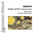 Brahms: Sonatas for Clarinet and Piano, Op.120 | Georges Pludermacher