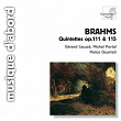Brahms: Chamber Quintets, Op.111 & 115 | Michel Portal