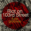 Acid Jazz Presents Riot on 103rd Street: Funk | The Brand New Heavies