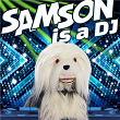 Samson Is a DJ | Samson & Gert