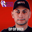 Cip Cip Disco | Paw