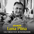 Luna plina (feat. RoMANELEsMIX) (Dj Bonne Remix) | Vali Vijelie