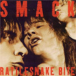 Rattlesnake Bite | Smack