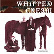 HorseMountain | Whipped Cream