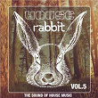 House Rabbit Vol. 5 (The Sound of House Music) | Gray Led