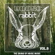 House Rabbit Vol. 9 (The Sound of House Music) | Jack Laurel Project