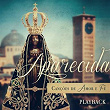 Aparecida: Canções de Amor e Fé (Playback) | Pe. Zezinho Scj, Grupo Cantores De Deus, Grupo Ir Ao Povo