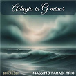 Adagio in G minor (feat. Davide Palladin) | Massimo Faraò Trio