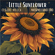 Little Sunflower | Cesare Mecca & Massimo Faraò Trio