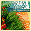 Saudade do Brasil (Bossa Nova and Brazilian Pearls) | João Gilberto