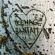 Teenage Bantam | Sesentay6