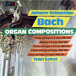 Organ Compositions 6 | Ivan Sokol