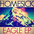 Eagle | Homesick
