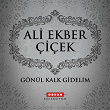 Gönül Kalk Gidelim | Ali Ekber Çiçek