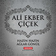 Hazin Hazin Aglar Gönül | Ali Ekber Çiçek