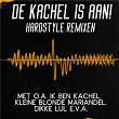 De Kachel Is Aan! - Hardstyle Remixen | Obz