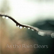 As the Rain Clears | Stefan Truyman