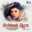 Mehboob Mere (Remix) | Sunidhi Chauhan, Karsan Sargathiya & Farooq Got Audio