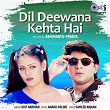 Dil Deewana Kehta Hai (Lofi Mix) | Udit Narayan & Abhimanyu-pragya