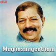 Meghasangeetham (Original Motion Picture Soundtrack) | M. G. Radhakrishnan