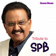 SPB Tribute | M. R. Seshan, Vijayam Sundaram & Balasundar