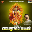 Arulmigu Vanabadrakaliyamman | S. N. Surendar, P R Natraja & S. P. Balasubrahmanyam