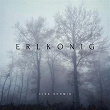 Erlkönig | Lisa Schmid