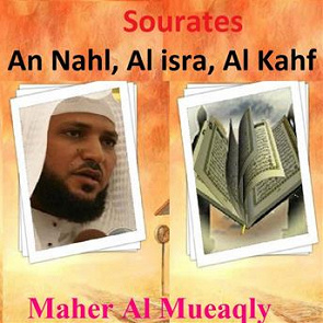 TÉLÉCHARGER TOUT LE CORAN MAHER AL MUEAQLY TOUT LE AL MUEAQLY CORAN MAHER TÉLÉCHARGER