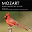 Nicholas Milton / The Tasmanian Symphony Orchestra / Andrea Lam / W.A. Mozart - Mozart: Piano Concerto No. 15, KV450