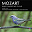 Nicholas Milton / The Tasmanian Symphony Orchestra / Andrea Lam / W.A. Mozart - Mozart: Piano Concerto No. 17, KV453