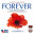 Central Band of the Royal British Legion - Forever: The Official Album of the World War 1 Commemorations