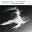 Julia Hulsmann Quartet / Theo Bleckmann - A Clear Midnight / Kurt Weill And America