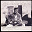 Bowling Green John Cephas / Guitar Slim / Phil Wiggins / Harmonica Phil Wiggins / Archie Edwards / Guitar Frank - Living Country Blues USA, Vol. 12 - East Coast Blues