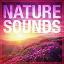 Relaxing Zen Nature - Nature Sounds, Vol. 1