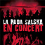 La Ruda Salska - En concert