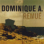 Dominique A - Remué (Edition spéciale)