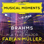 Album Brahms: 16 Waltzes, Op. 39: No. 15 in A Flat Major (Musical Moments) de Johannes Brahms / Fabian Muller
