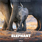 Album Elephant (Original Soundtrack) de Ramin Djawadi