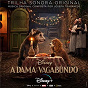 Compilation A Dama e o Vagabundo (Trilha Sonora Original em Português) avec Joseph Trapanese / Lady & the Tramp Studio Choir / Victoria Kuhl / Nate Rocket Wonder / Roman Gianarthur...