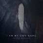 Album I Am My Own Name de Peter Murphy