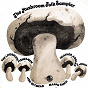 Compilation The Mushroom Folk Sampler avec Mappa Tandi / Jon Betmead / Heather, Adrian & John / The Liverpool Fishermen