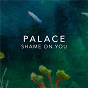 Album Shame On You de Palace