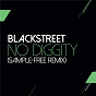 Album No Diggity (Sam Wilkes & Brian Green Sample Free Remix) de Blackstreet