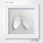 Album Oxygen de Prince Fox