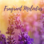 Album Fragrant Melodies de Rain Sounds