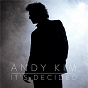 Album It's Decided de Andy Kim