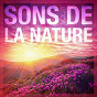 Album Sons de la nature, vol. 1 de Sons de la Nature / Nature Sounds