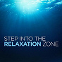 Compilation Step Into the Relaxation Zone avec Mathieu Bento / Infinity / Michael Crain / Carl Long / Hank Lively...