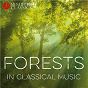 Compilation Forests in Classical Music avec South German Philharmonic Orchestra / Donna Amato / Edward Macdowell / Hungarian National Philharmonic Orchestra / András Kórodi...
